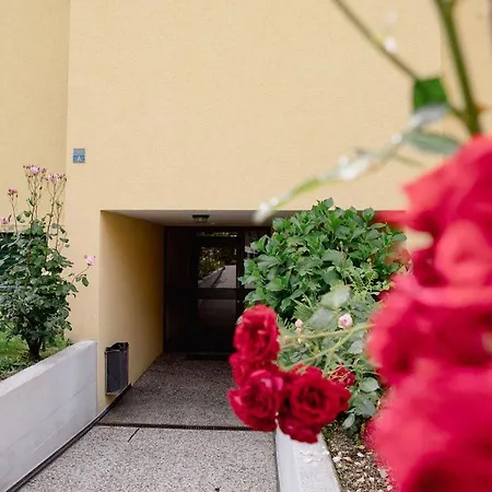 Residenza Robinia - Objekt 6500 Apartment Locarno